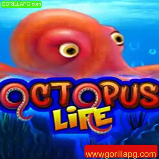 Tudo Sobre o Jogo OctopusLife: Regras e Estratégias Atuais